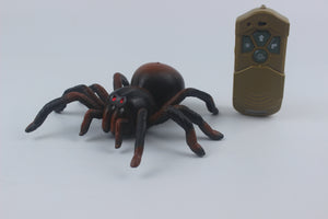 RC Spider - Brown