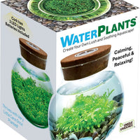 Water Plants