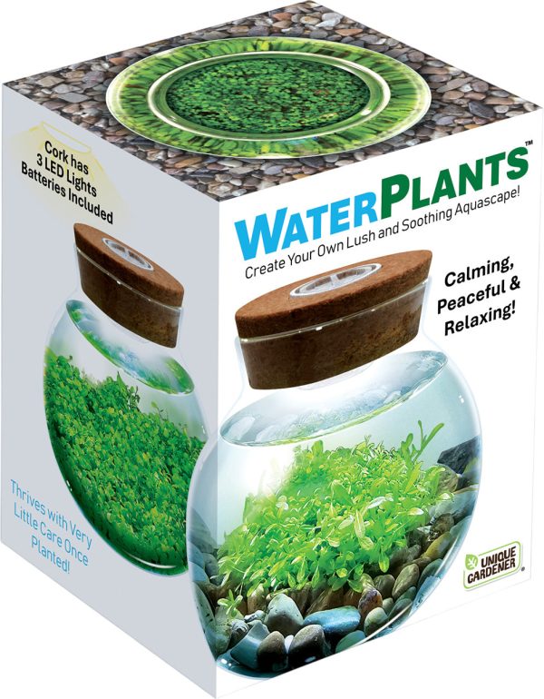 Water Plants