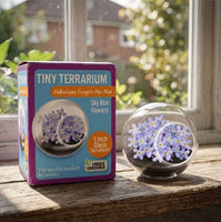 Tiny Terrarium Flowers
