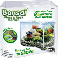 Bonsai Terrarium
