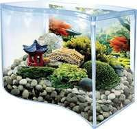 Bonsai Terrarium
