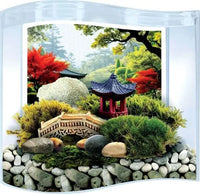 Bonsai Terrarium
