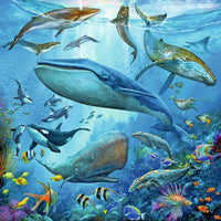 Ocean Life - 49 Piece, 3 pack
