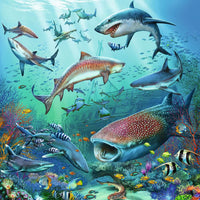 Ocean Life - 49 Piece, 3 pack
