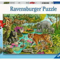 Animals of India - 60 Piece Puzzle