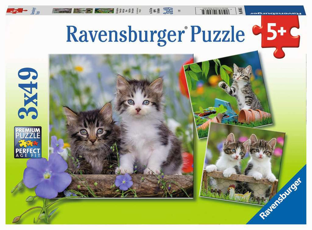 Tiger Kittens - 49 Piece, 3 pack