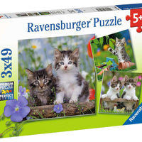 Tiger Kittens - 49 Piece, 3 pack