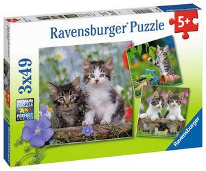Tiger Kittens - 49 Piece, 3 pack