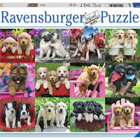 Puppy Pals - 500 Piece Puzzle