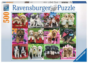 Puppy Pals - 500 Piece Puzzle