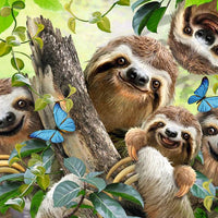 Sloth Selfie - 500 Piece Puzzle