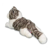 Smokey Gray Cat
