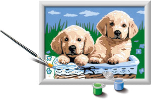 Paint by Number - Cute Puppies
