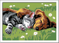 CreArt - Sleeping Cat & Dog
