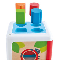 Shape-Sorting Box
