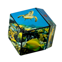 Shashibo Shape Shifting Cube Undersea