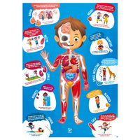 Human Body Puzzle
