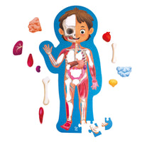 Human Body Puzzle
