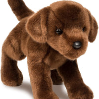 CC Bean Chocolate Lab