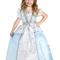 Little Adventures Cinderella Dress Size Medium