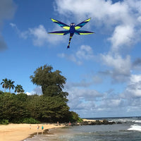 Harmony Dragonfly Kite
