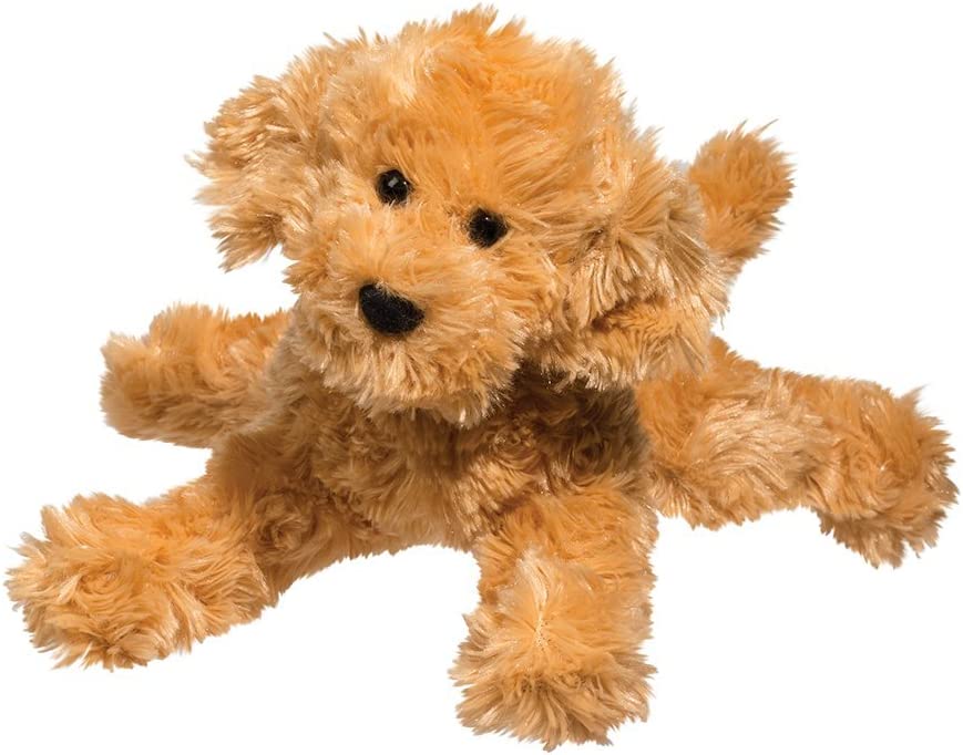 Molasses Caramel Labradoodle
