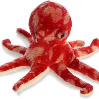Pacy Octopus