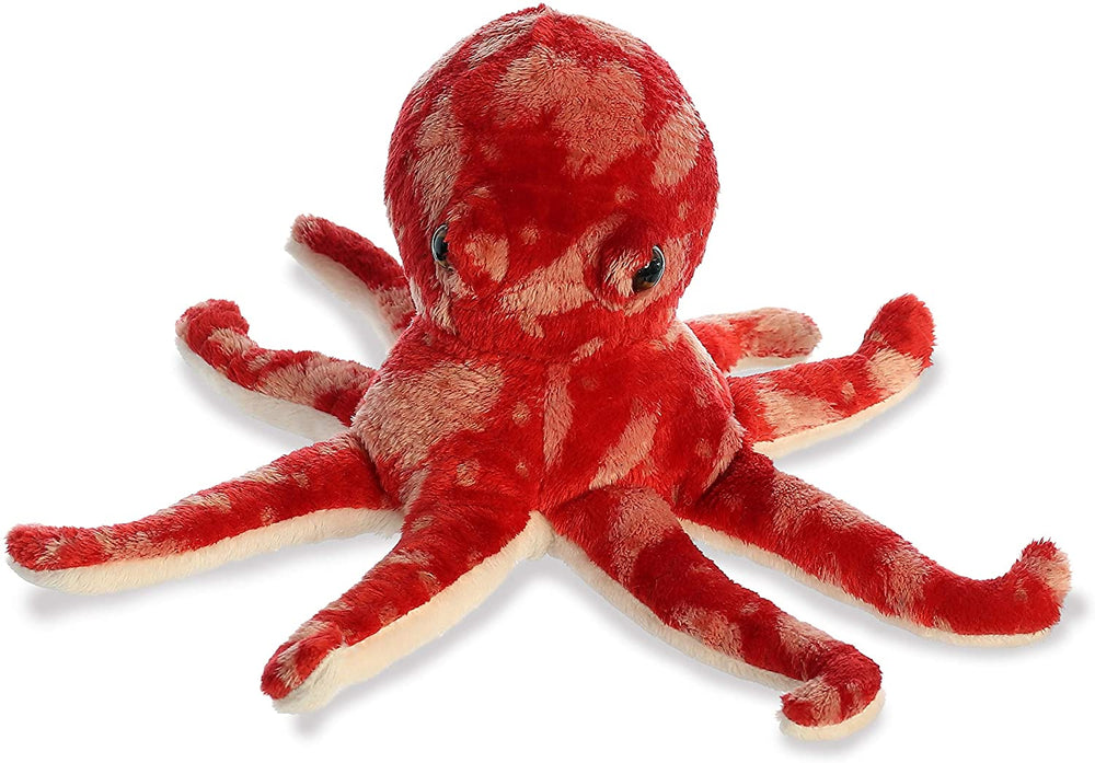 Pacy Octopus
