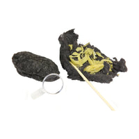 Owl Puke
