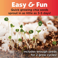 Plant and Grow Woodland Forest
