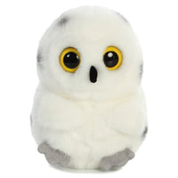 Rolly Pet-Hoot Owl