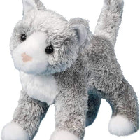 Scatter Gray Cat