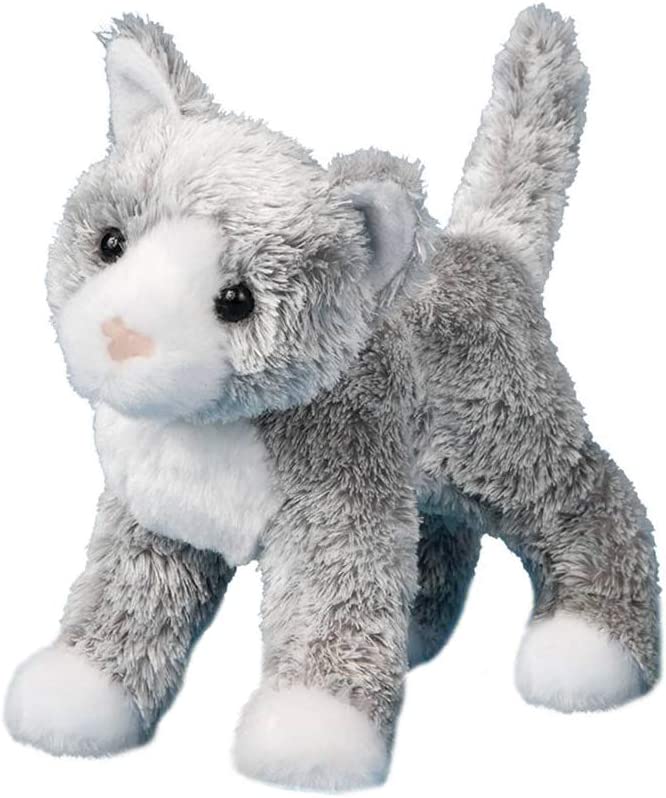 Scatter Gray Cat