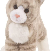 Zipper Gray Tabby Cat