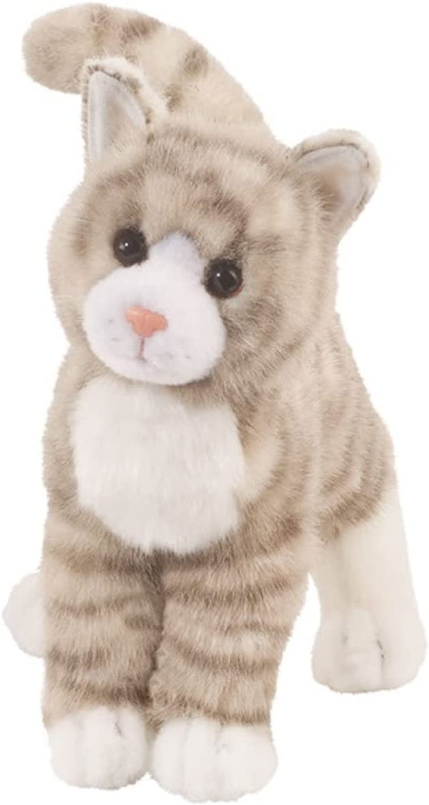 Zipper Gray Tabby Cat